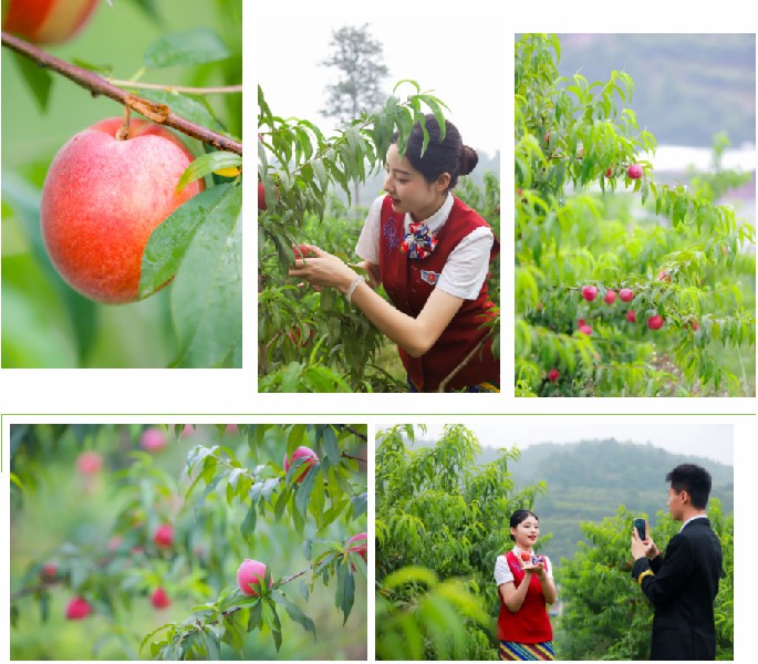 1653968099393353.jpg 微信截圖_20220531112542.jpg